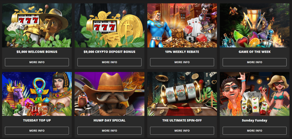 Wild Casino bonuses