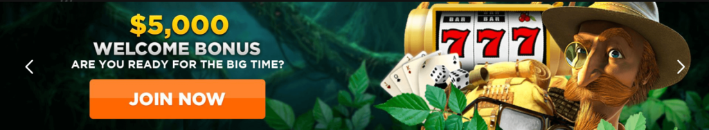 Wild Casino welcome bonus